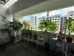 Blk 429 Tampines Street 41 (Tampines), HDB Executive #479475401